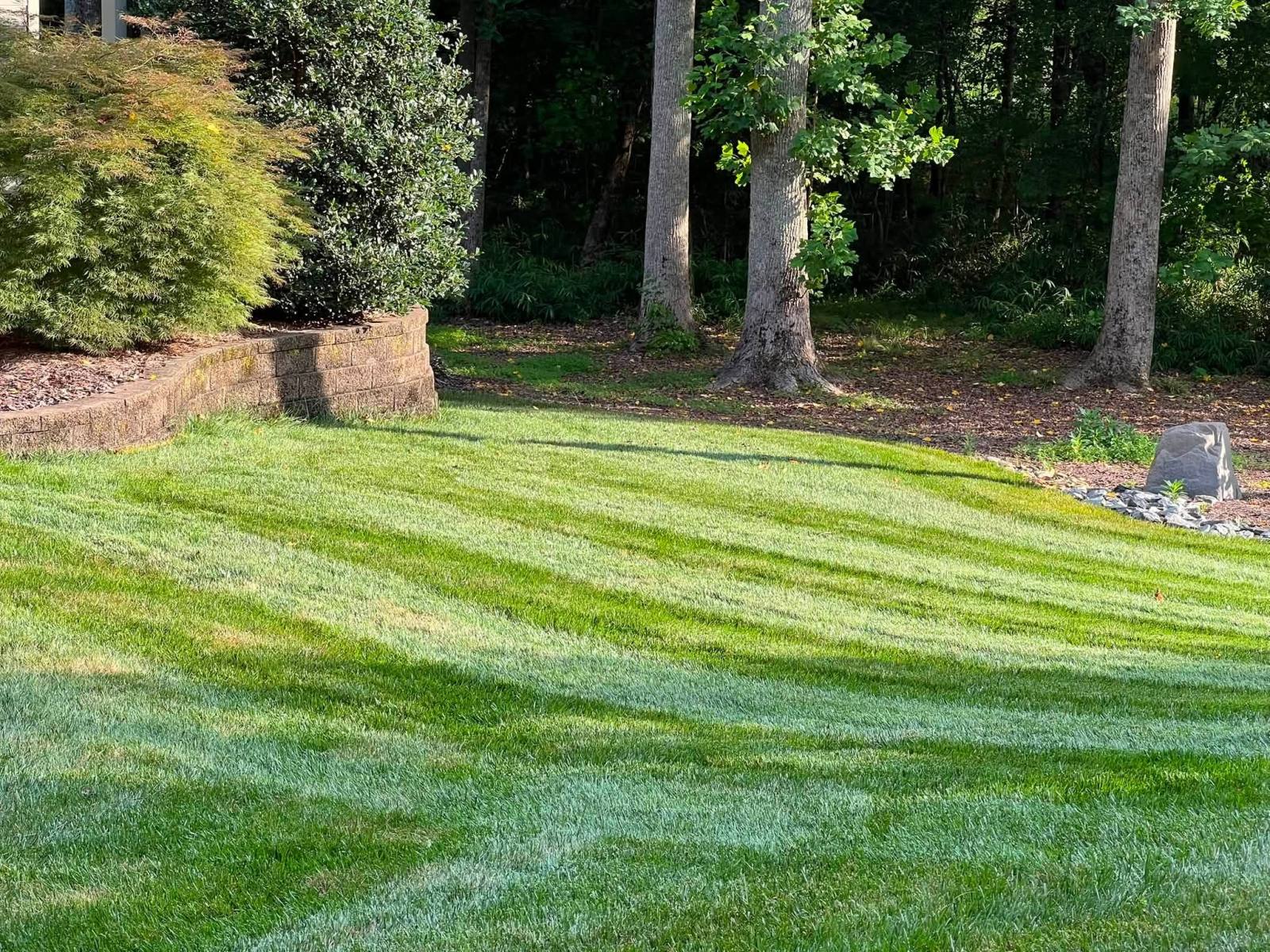 Compost Topdressing being carried out on a tall fescue lawn in the Raleigh Triangle.