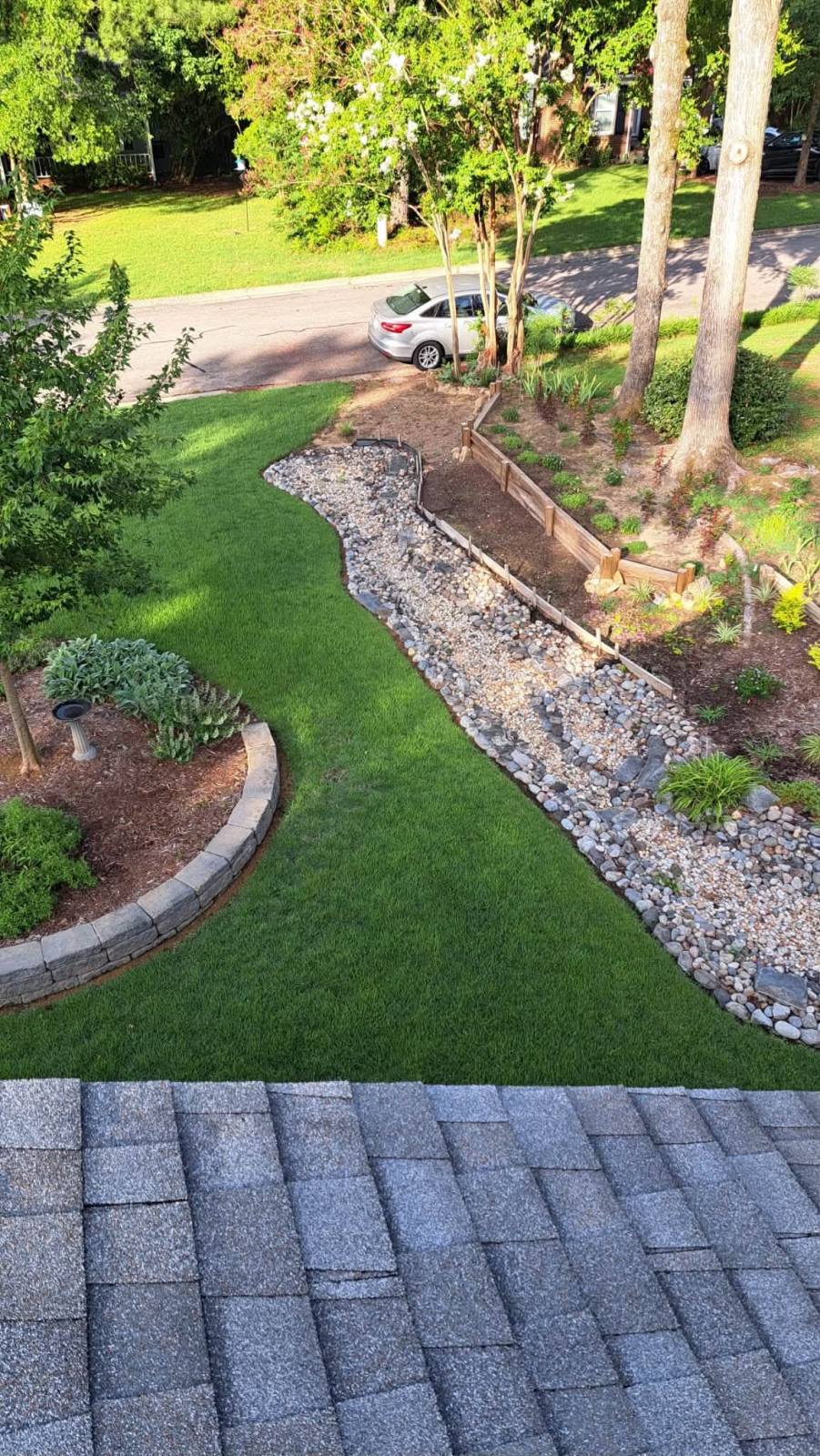Core aeration plugs pulled from a tall fescue lawn in Clayton, NC.