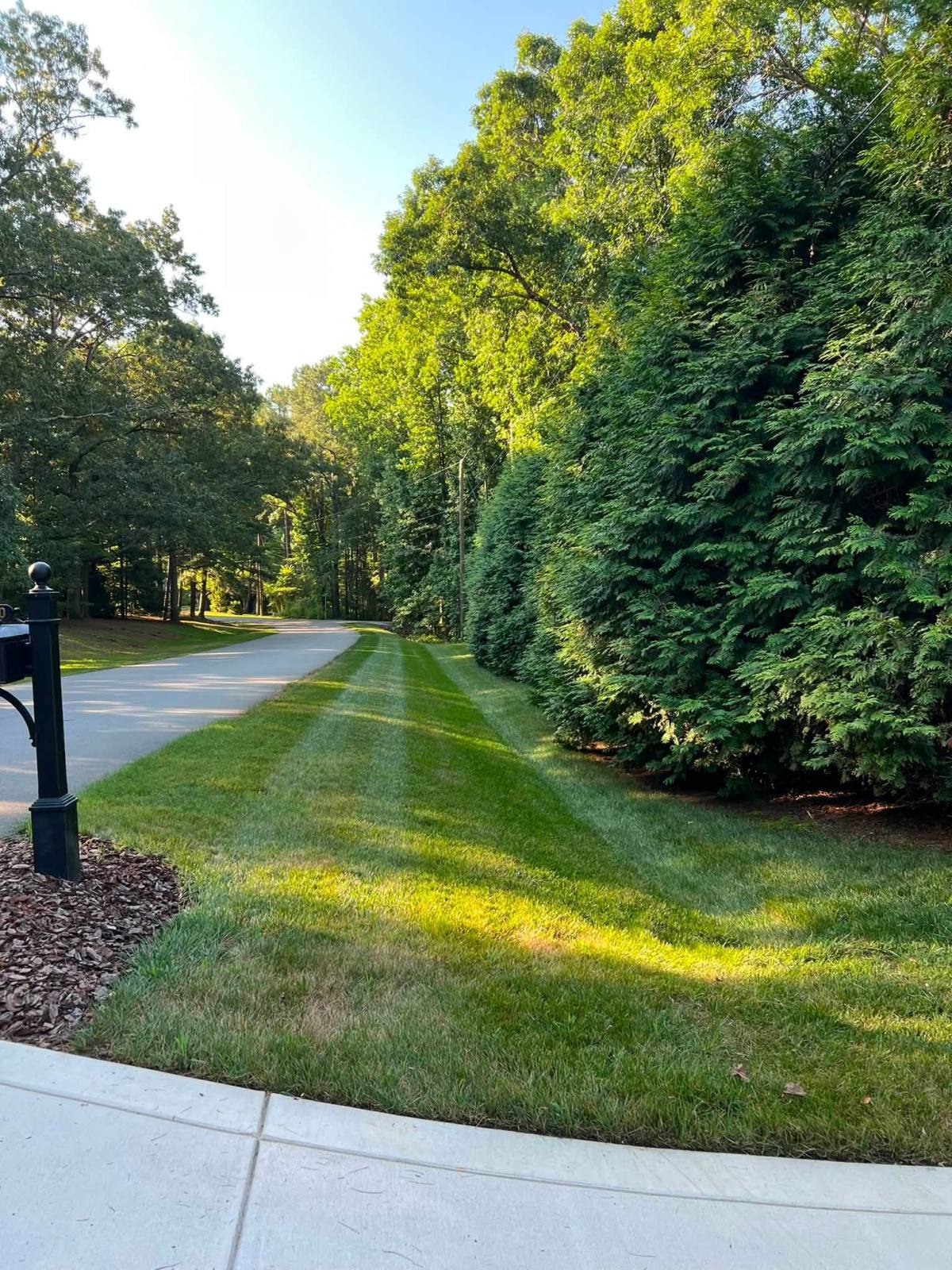 Fall Fescue Over-Seeding being carried out on a tall fescue lawn in the Raleigh Triangle.