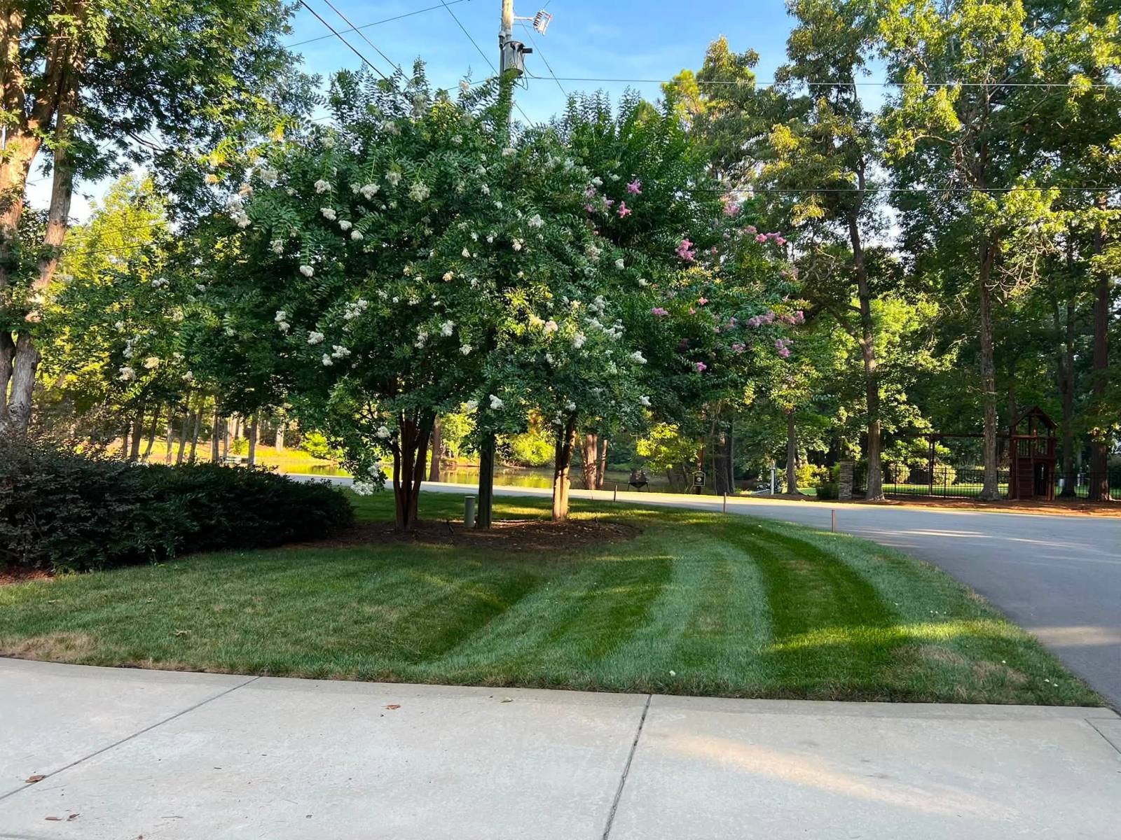Soil Amendment Program being carried out on a tall fescue lawn in the Raleigh Triangle.