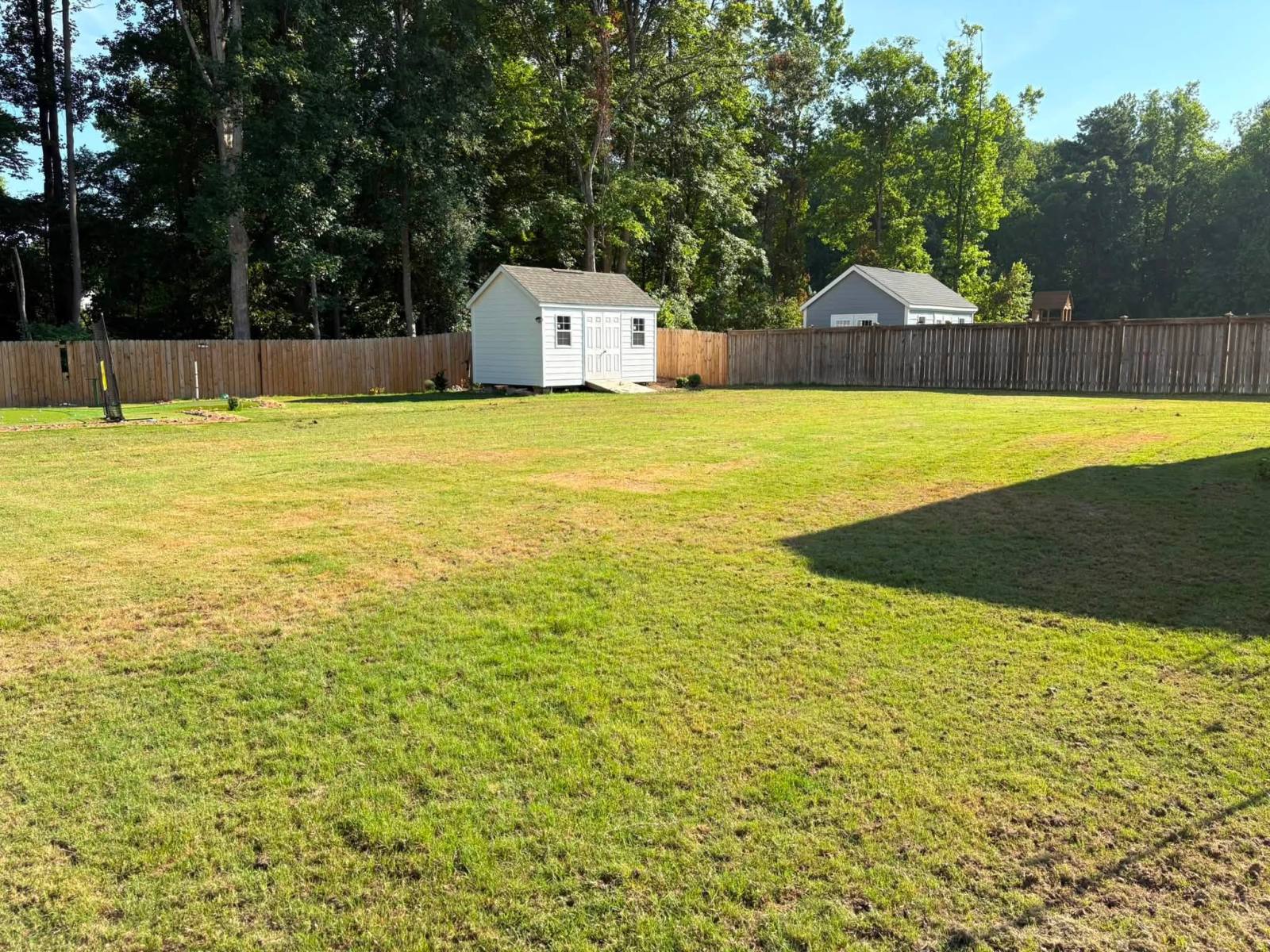 Core Aeration being carried out on a tall fescue lawn in the Raleigh Triangle.